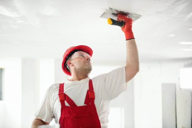 Best Interior Painting  in San Miguel, CA